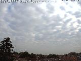 Bild von 8 Uhr Bild von 8 Uhr
